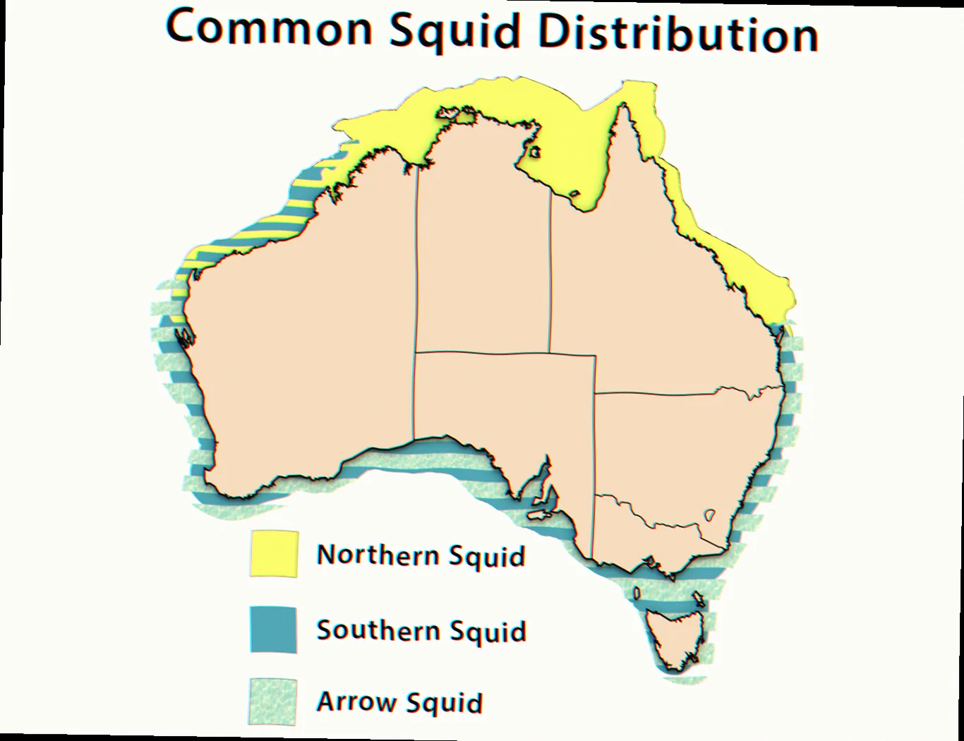 arrow squid aggregation sites western australia