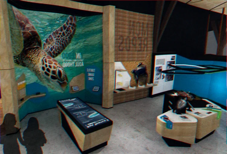 bundaberg turtle conservation project