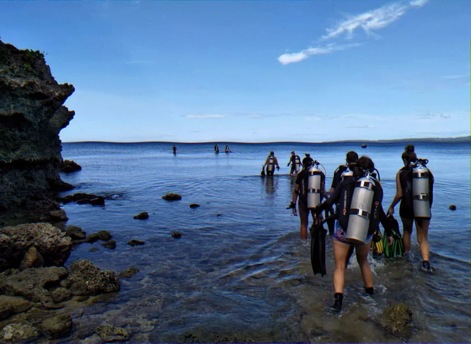coral reef monitoring techniques australia