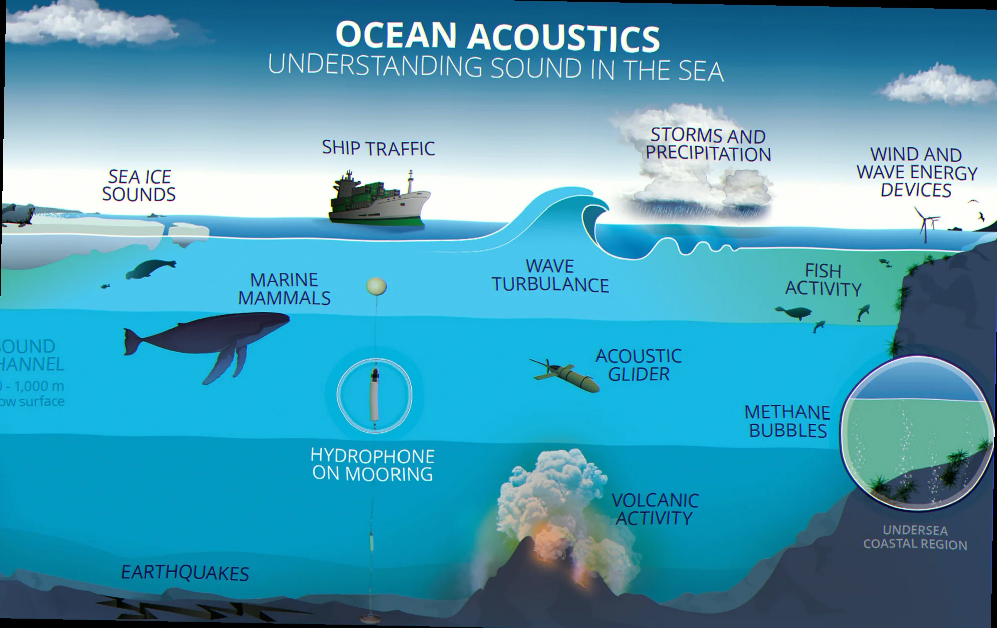 marine mammal acoustics AU