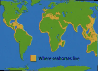 seahorse habitat mapping methodologies